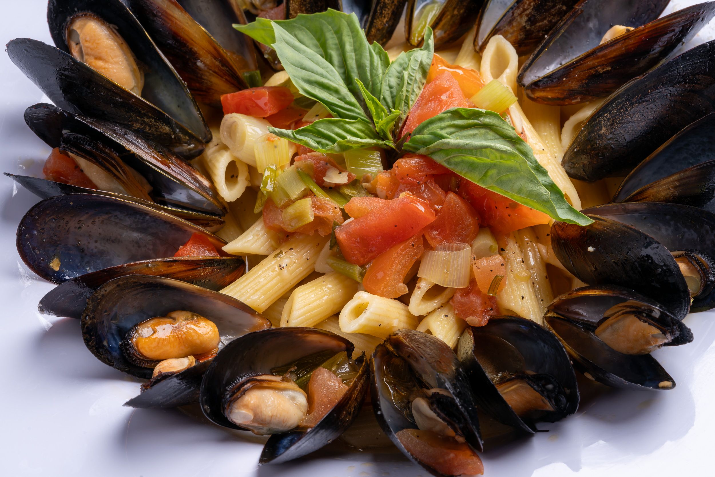 Mussels in tomato sauce over pasta